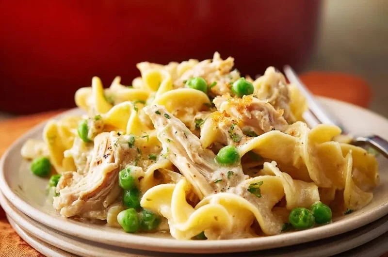 Creamy Chicken Noodle Comfort